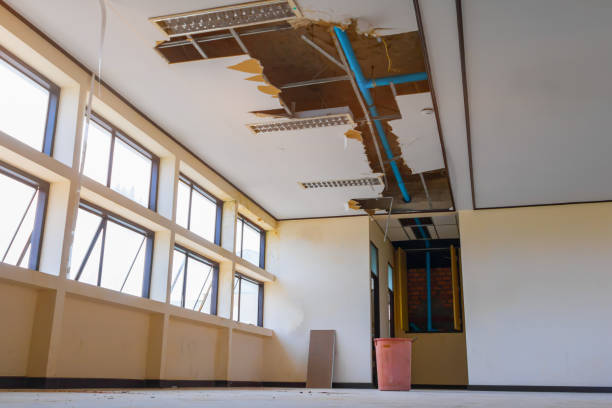 Best Flood restoration services  in Belleville, KS