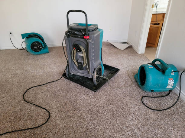 Best 24/7 water damage repair  in Belleville, KS