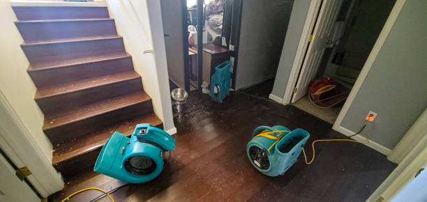 Best Local water damage restoration  in Belleville, KS