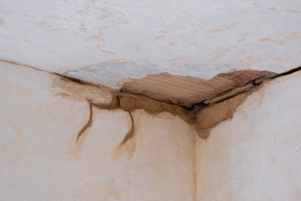 Best Flood damage cleanup  in Belleville, KS
