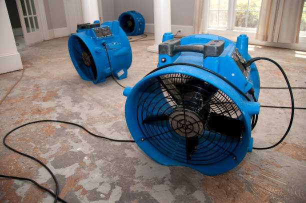 Water damage restoration mold remediation in KS