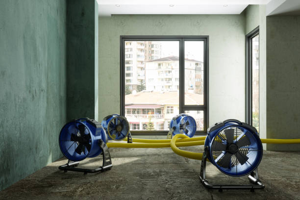 Trusted KS Water damage restoration Experts